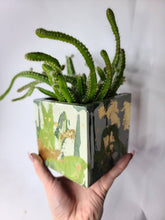 Load image into Gallery viewer, Quinn Square Colored Concrete Planter Vessel | Gold Leaf Pot: Pink navy white and rose gold / Regular
