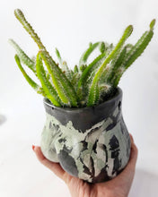 Load image into Gallery viewer, Concrete Lady Booty Pot | Butt Cheek Planter | Drain hole: Maroon/pink/rose gold
