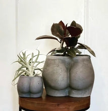 Load image into Gallery viewer, Large Booty Planter : Color layers ( we pick unless you specify)
