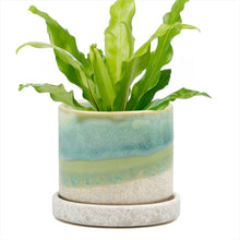 Load image into Gallery viewer, Minute Handmade Ceramic Planter Indoors Pot With Saucer: Green Cement / 5"

