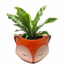 Load image into Gallery viewer, Fox Planter
