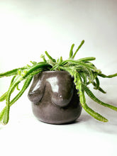 Load image into Gallery viewer, Concrete Lady Boob Pot Drain hole | Breast | Airplant Nipple: Maroon/Pink/rose gold foil / No drain hole
