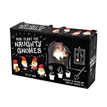 Load image into Gallery viewer, Naughty Gnomes Planters
