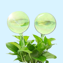 Load image into Gallery viewer, Self-Watering Plant Globes
